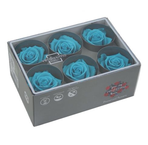 RST265 BOX ROSA STANDAR TURQUESA