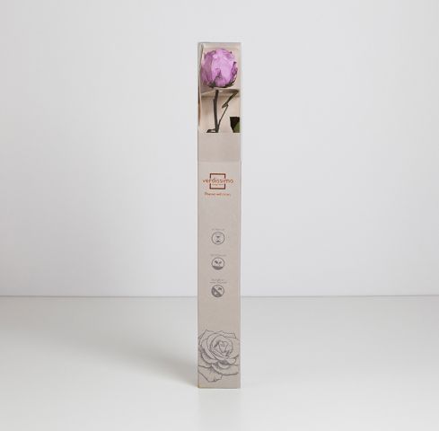  AMORSA STANDAR LILAC *PRZ1850