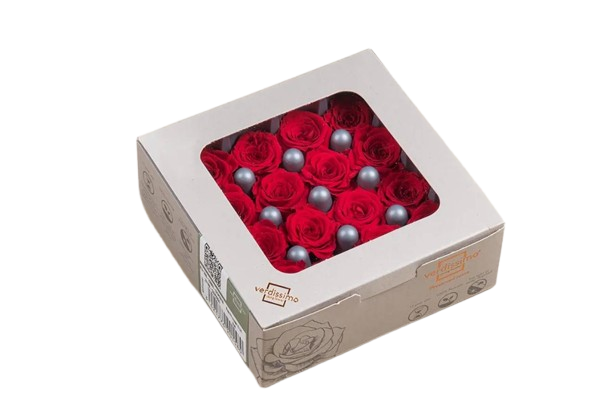  ROSA PRINCESA ROJO RSP/4200