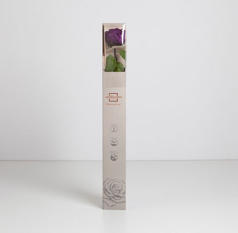 PRZ/1840 AMOROSA STANDARD  PURPLE