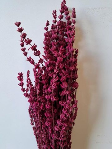 LAVANDA PRESS *ROSA 000.051-45