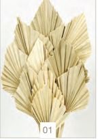  PALM SPEAR*NATURAL 000.215-01