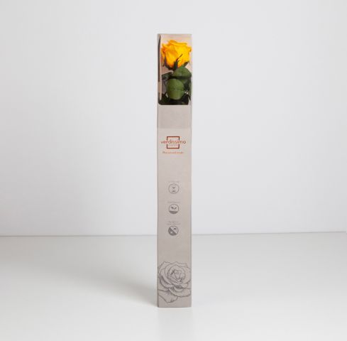 AMOROSA STANDARD AMARILLA PRZ/1350