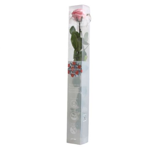 PRZ/1420 AMOROSA STANDARD *ROSA PASTEL 