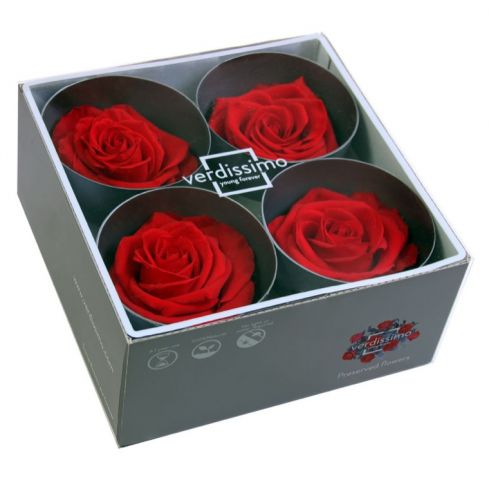 BOX 4 AMOROSA PREMIUM SIN TALLO RSG/2200