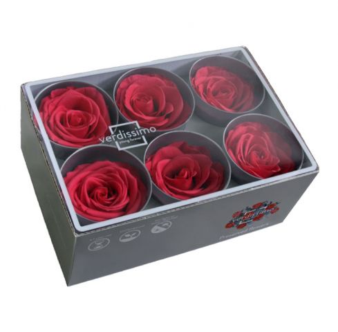 ROSE STANDAR DAR PINK BOX RST/2490