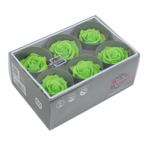 ROSE STANDAR BOX 6 LIMA RST/2170