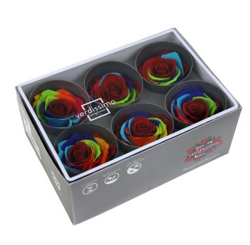 ROSA STANDARD BOX 6 CABEZA *RAIMBOW RST/2888