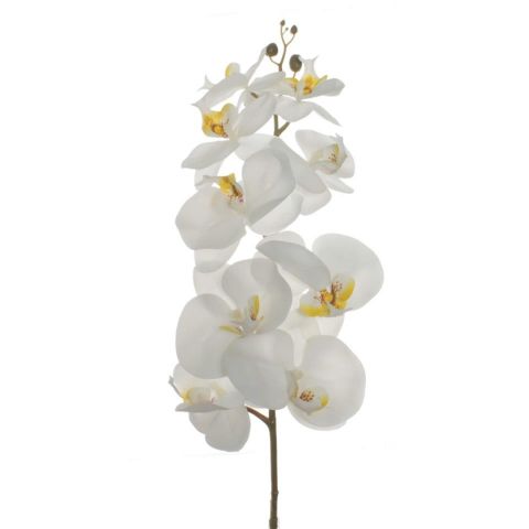 VARA ORQUIDEA TACTO NATURAL *7168-BLANCO