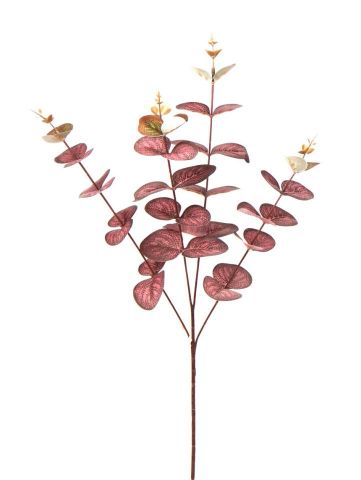 VARA EUCALYPTO *MARRÓN 70 CMS (33) G593/3