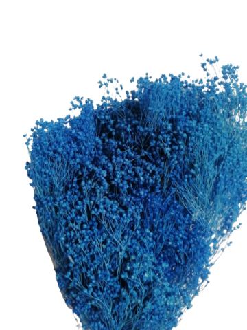 BROOMS 50 CMS  000-006.73