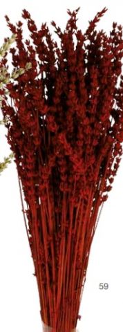 LAVANDA PRES *ROJO 000-051.59