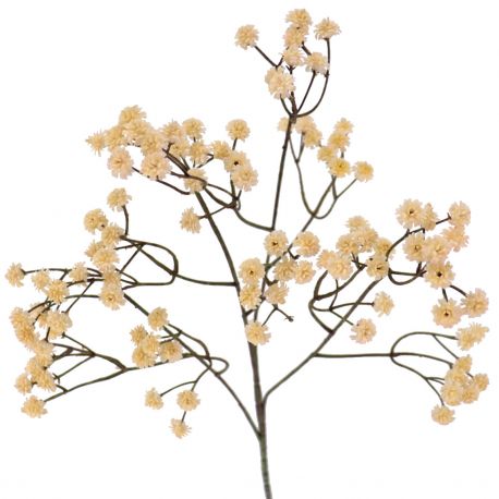 GYPSO VINTAGE *BEIGE 6104-31