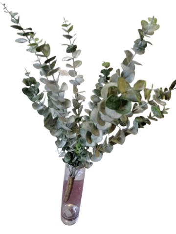 RAMO EUCALYPTUS *VERDE 4437-09