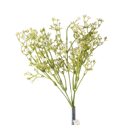 RAMO PANICULATA*BLANCO 9007-00