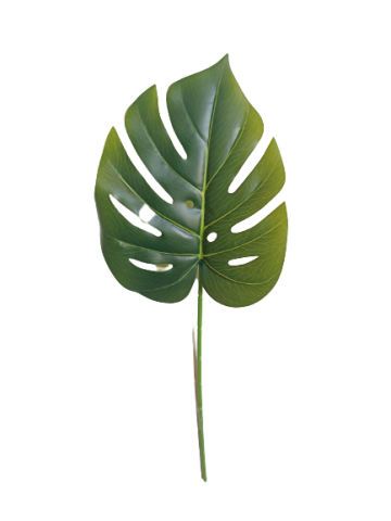 VARA HOJA MOSTERA 60 CMS *VERDE 4233-09