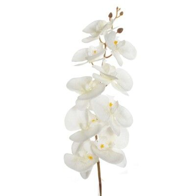 VARA ORQUIDEA OTOÑAL *BLANCO 3100