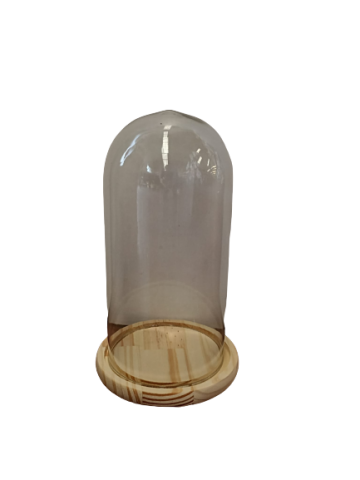CAMPANA CRISTAL 12 CMS X H25CMS 20029