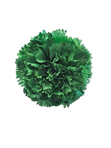 CLAVEL * VERDE 005