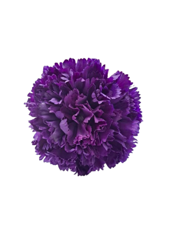 CLAVEL *LILA   0019