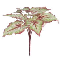 RAMO HOJA BEGONIA *VERDE 7134-09