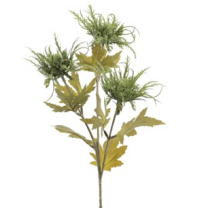 VARA ERYNGIUM *VERDE 6846-09