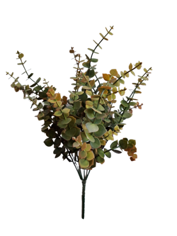 RAMO EUCALYPTUS *CAMEL 9309-55