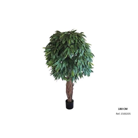 PLANTA MANGO 180CMS 1500205