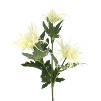 VARA ERYNGIUM *BLANCO 2690-11