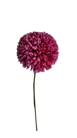 VARA CRYSANTEMUM *FUCSIA 4375-07