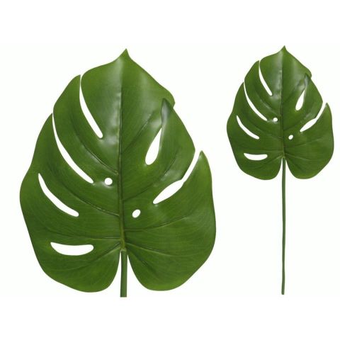 VARA HOJA MONSTERA 55CM *054933