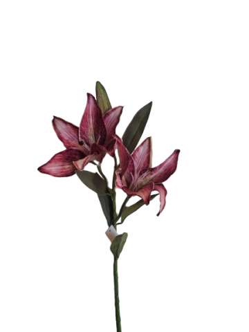 VARA LILIUM X2 *GRANATE 6951-77