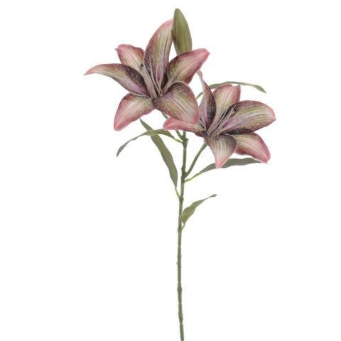 VARA LILIUM *FUCSIA-VERDE 6951-57