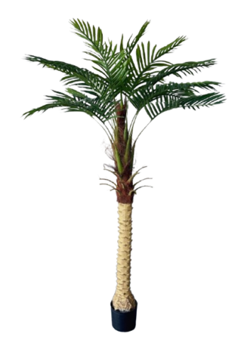 PALMERA 180CM *M-008TR