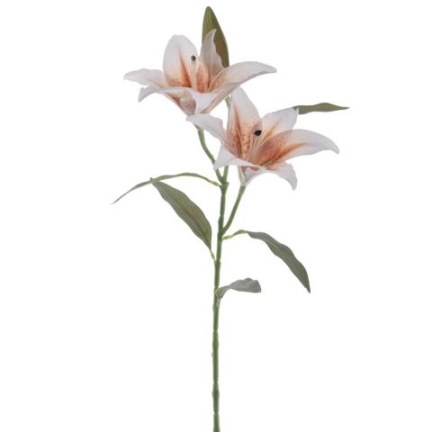 VARA LILIUM X2 *MARMOL 6951-46