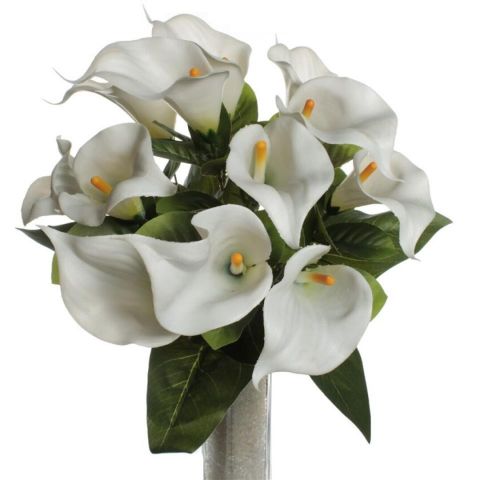 RAMO CALAS BLANCO *5480B