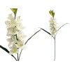 VARA GLADIOLO X12-98CM BLANCO 232348