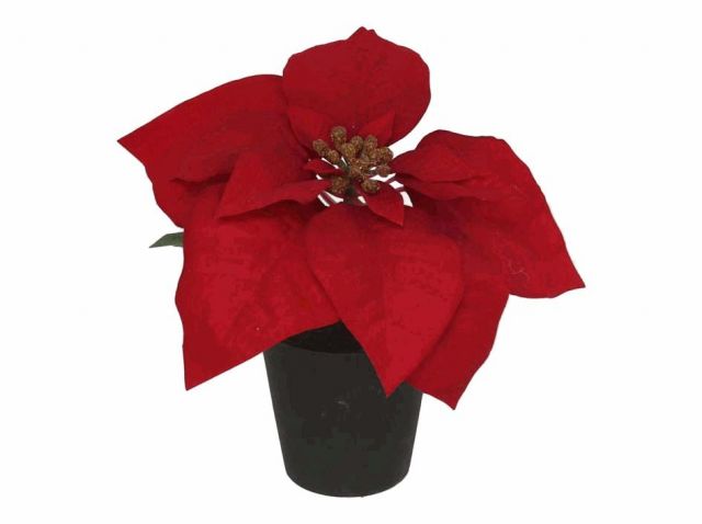 MACETA POINSETTIA 20X29CM *280547