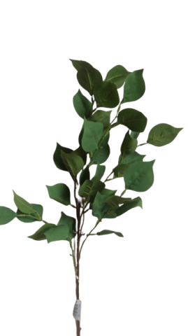 VARA BUGANVILLA *VERDE 30236