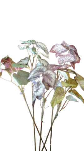 VARA HOJA BEGONIA  SURTIDA 5 COLORES *37000
