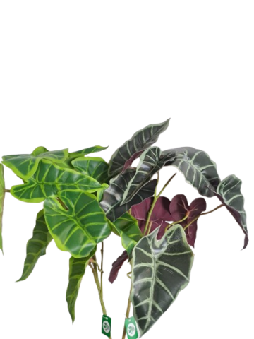 VARA HOJA ALACACIA 2 COLORES *37024