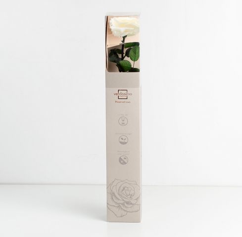 ROSA PREMIUN CHAMPAN *PRZ/7020