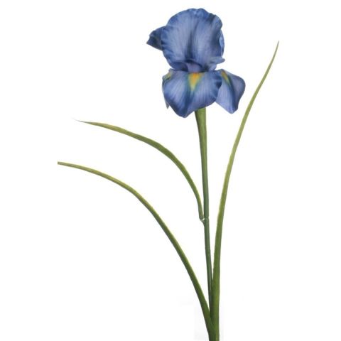 VARA IRIS *AZUL 7669