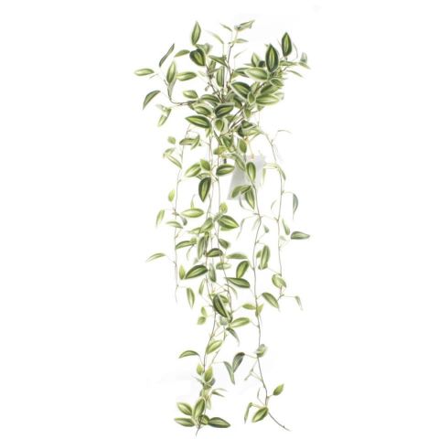 COLGANTE TRADESCANTIA *VERDE 7508