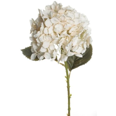 VARA HORTENSIA *BLANCO 7639