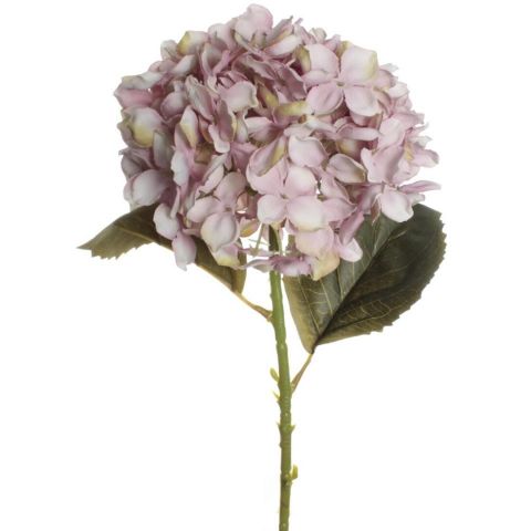 VARA HORTENSIA *ROSA 7639
