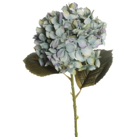 VARA HORTNSIA *AZUL 7639