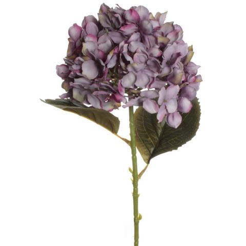 VARA HORTENSIA *LILA 7639