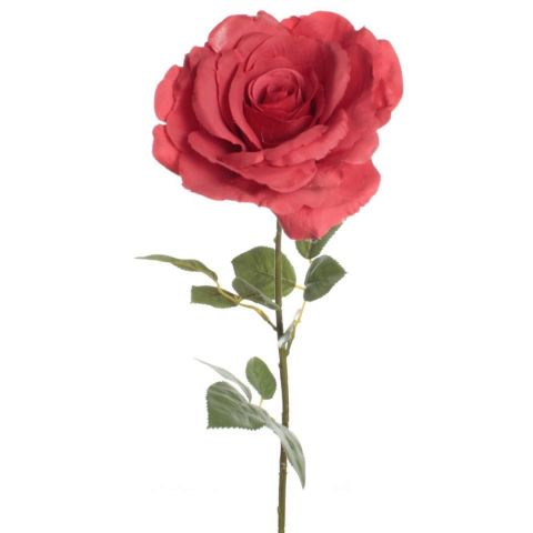 VARA ROSA X1 *ROJO 7615