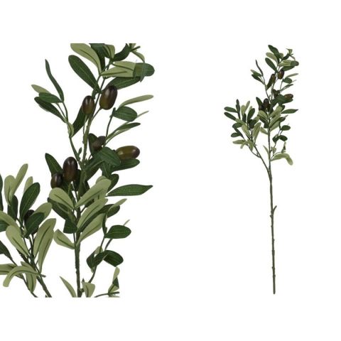 VARA OLIVO 65CM *434438